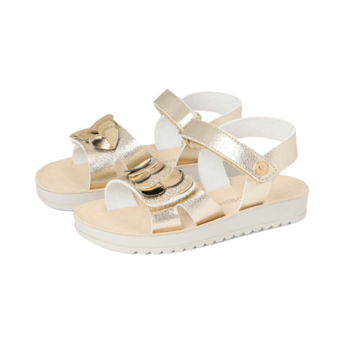 Naturino Gisten (Toddler/Little Kid)