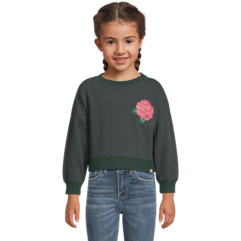 Appaman Kids Lisa Cropped Sweatshirt (Toddler/Little Kids/Big Kids)