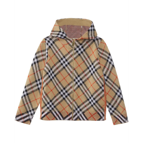 Burberry Kids Jimmy Check Sweater (Toddler/Little Kid/Big Kid)