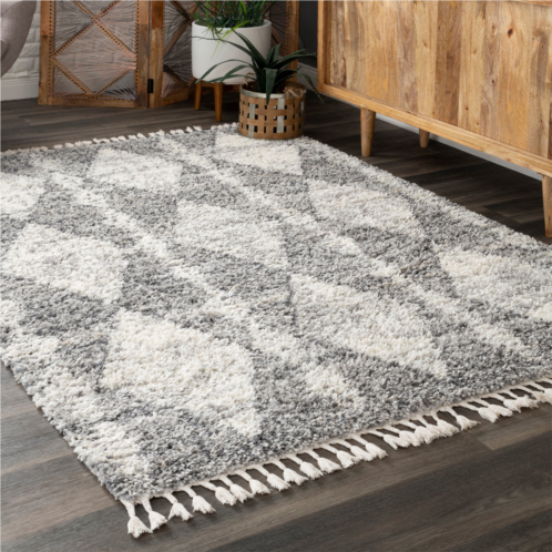 NuLOOM selah geometric shag area rug