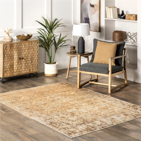 NuLOOM harlow printed faded vintage flatweave area rug