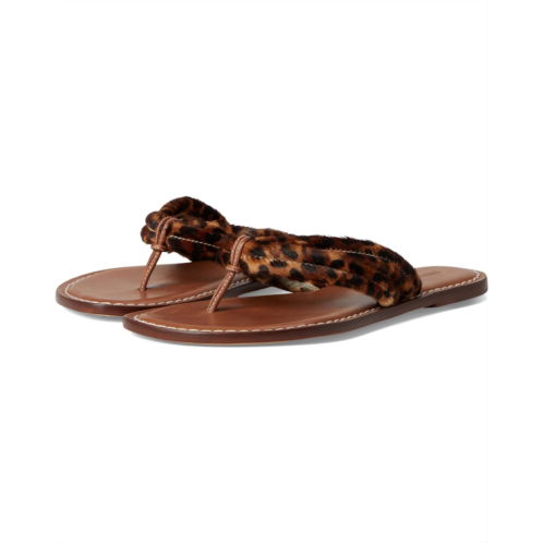 Bernardo Miami Haircalf