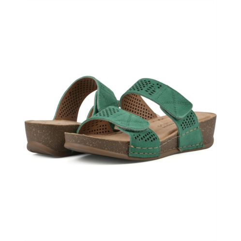 White Mountain Ferula