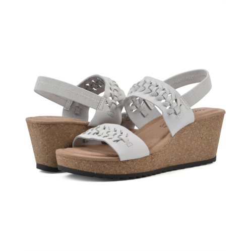 White Mountain Pretreat