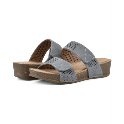 White Mountain Ferula