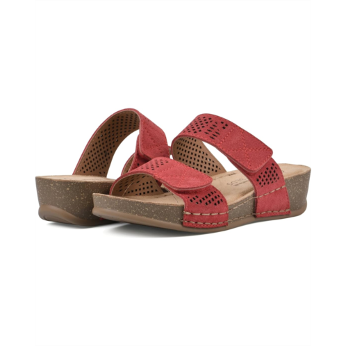 White Mountain Ferula