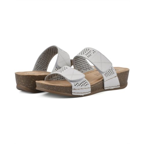 White Mountain Ferula