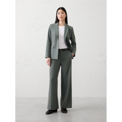 bananarepublic Wide-Leg High-Rise Sculpted Trouser