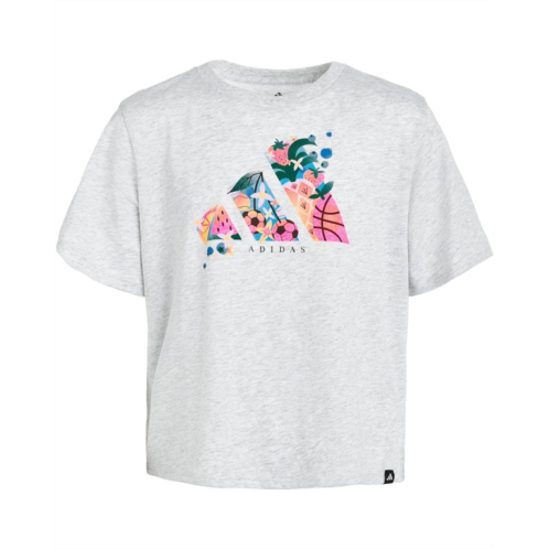 adidas Kids Graphic Heather Tee (Big Kids)