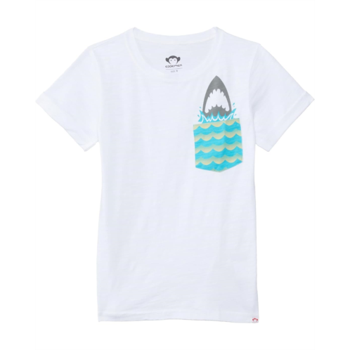 Appaman Kids Day Trip Tee (Toddler/Little Kid/Big Kid)