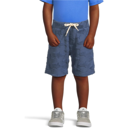 Appaman Kids Resort Shorts (Toddler/Little Kid/Big Kid)