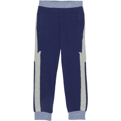 Chaser Kids Color-Blocked Bolt Joggers (Toddler/Little Kids)