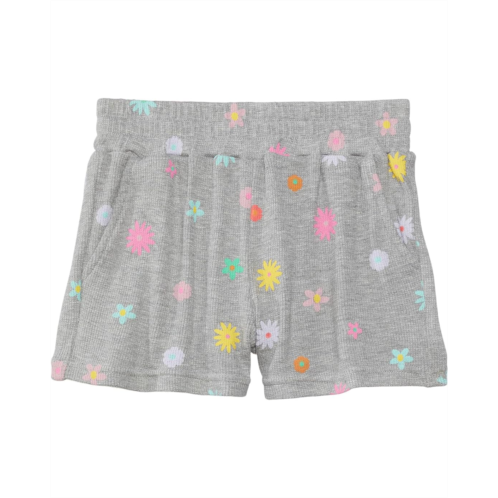 Chaser Kids Embroidery Flowers Shorts (Toddler/Little Kids)