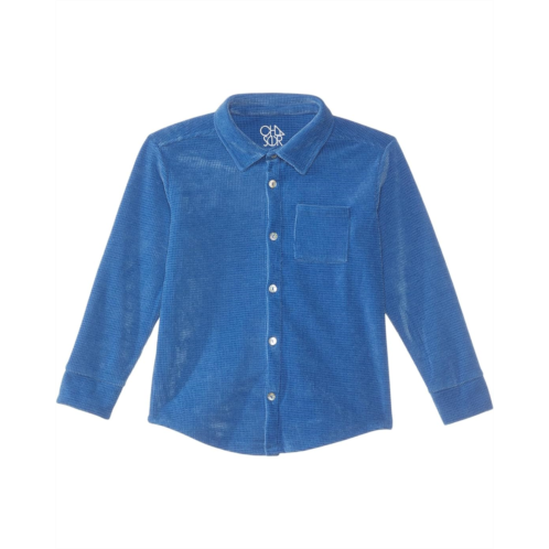 Chaser Kids Button Down Collar Shirt (Toddler/Little Kids)