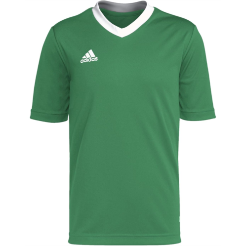adidas Kids Entrada22 Jersey (Little Kids/Big Kids)