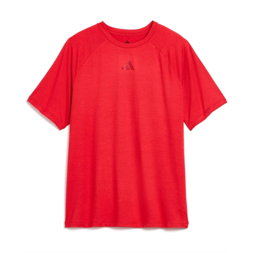 adidas Kids Raglan Poly Tee (Big Kid)