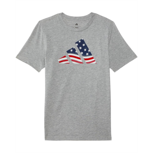 adidas Kids USA Flag Logo Tee (Big Kid)