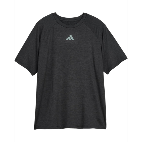 adidas Kids Raglan Poly Tee (Big Kid)