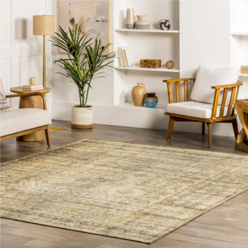 NuLOOM chana printed framed trellis flatweave area rug