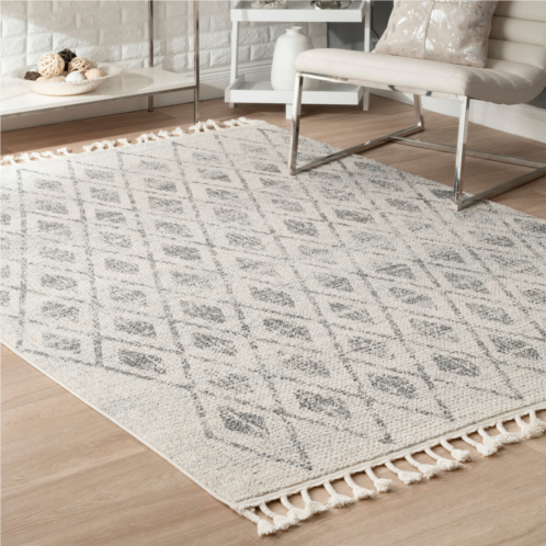 NuLOOM diamond daphne area rug