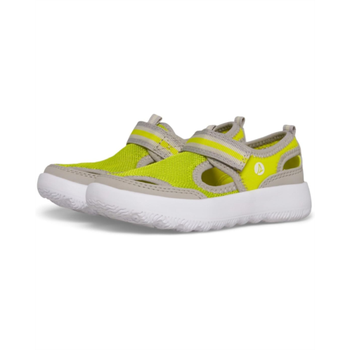 Sperry Kids Coastal Break (Toddler/Little Kid)
