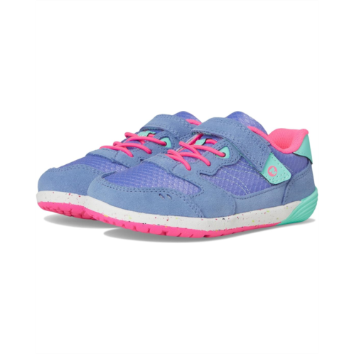 Merrell Kids Bare Steps A83 (Toddler)