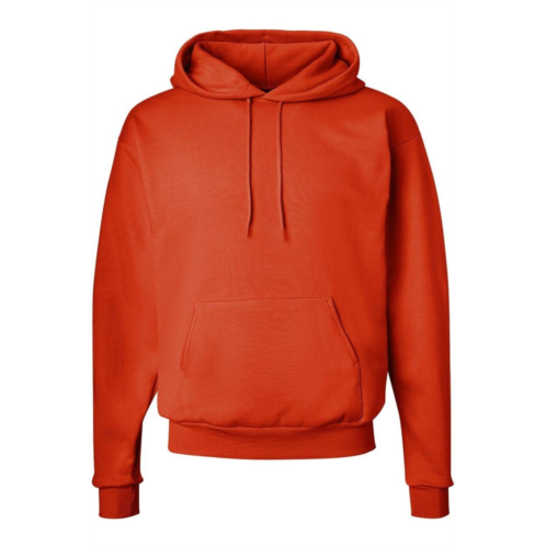 Hanes ecosmart hooded sweatshirt