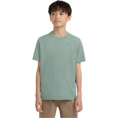 abercrombie kids Short Sleeve Essential Tee (Little Kid/Big Kid)