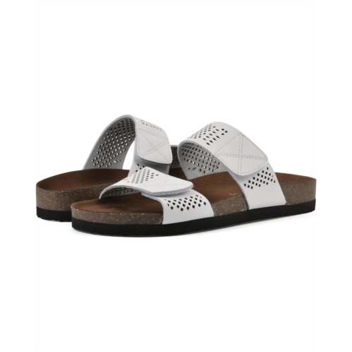 White Mountain Hawkbill