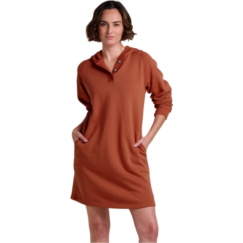 Toad&Co Fernscape Long Sleeve Hooded Dress
