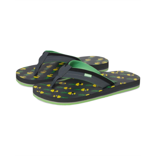 Sanuk Ziggy X Ben Gravy