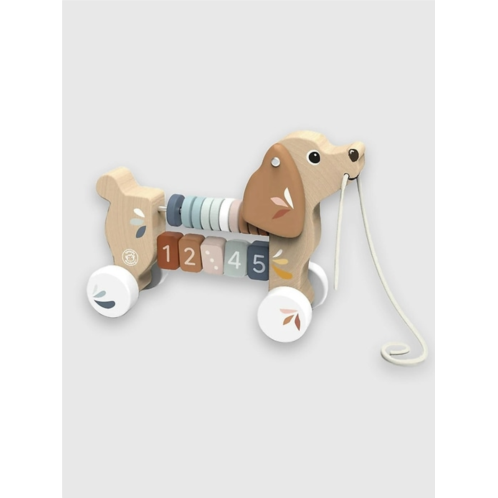 Gap Puppy Pull Along Toy