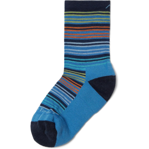 Darn Tough Vermont Zebra Canyon Micro Crew Lightweight with Cushion