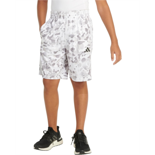 Adidas Kids AOP C Camo Short S24(Toddler/Little Kid)