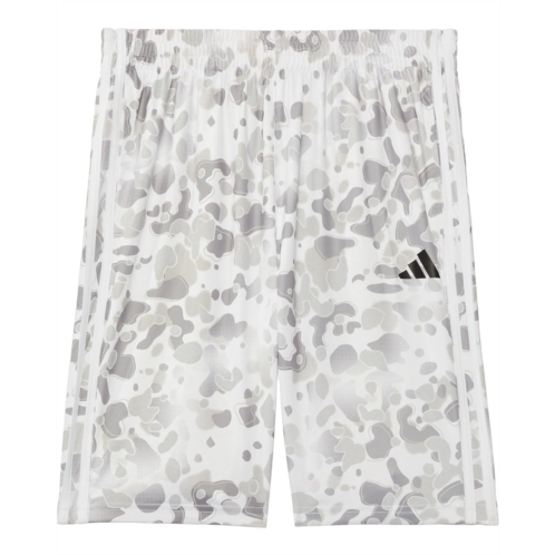Adidas Kids AOP Camo Short S24 (Big Kid)