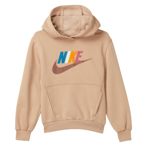 Kids Nike Kids Sportswear Club Fleece Hoodie (Little Kid/Big Kid)