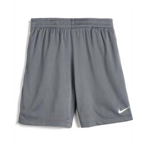 Nike Kids Dri-FIT Multi Mesh Shorts (Little Kid)