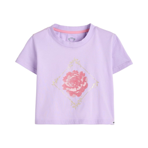 Girls Appaman Kids Lillian Boxy Tee (Toddler/Little Kid/Big Kid)