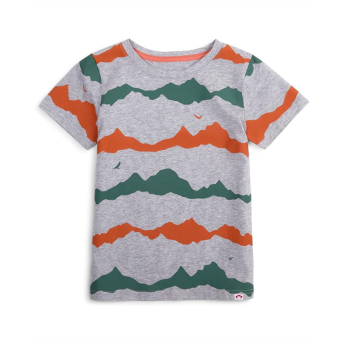 Appaman Kids Graphic Short Sleeve Tee (Toddler/Little Kid/Big Kid)