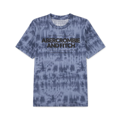 Boys abercrombie kids Cinder Block Tee (Big Kid)