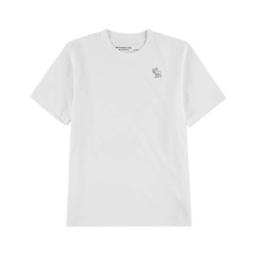 Boys abercrombie kids Short Sleeve Essential Tee (Little Kid/Big Kid)