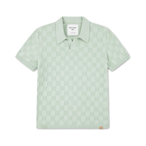 Boys abercrombie kids Johnny Collar Swolo (Big Kids)