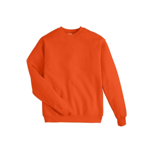 Hanes ecosmart crewneck sweatshirt