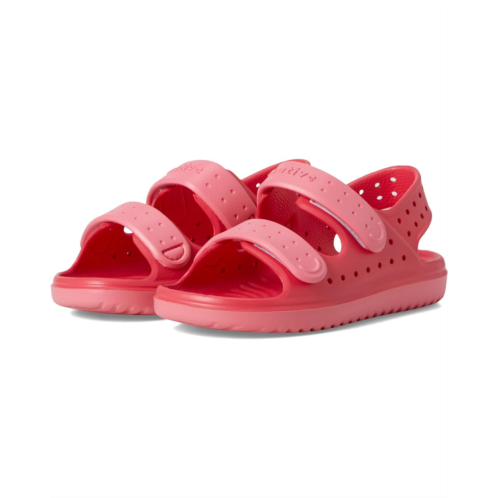 Kids Native Shoes Kids Chase (Little Kid/Big Kid)