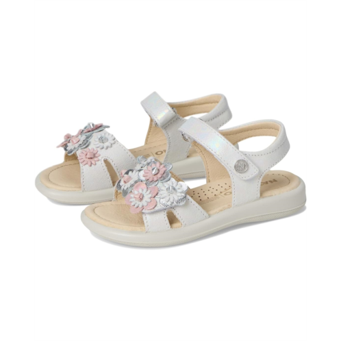 Naturino Brahma (Toddler/Little Kid)