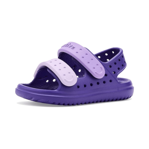 Kids Native Shoes Kids Chase (Toddler)