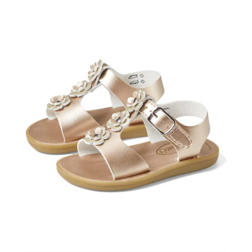 Girls FootMates Eco-Jasmine (Infant/Toddler/Little Kid)