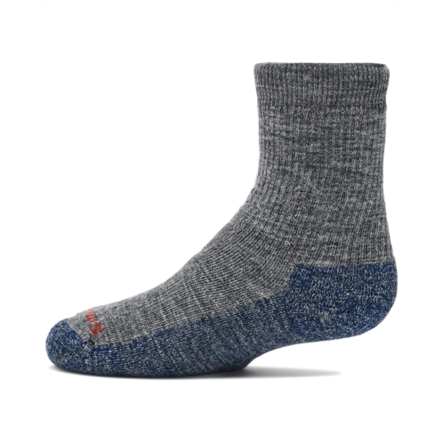Kids Smartwool Kids Hike Full Cushion Crew Socks(toddler/Little Kid/Big Kid)