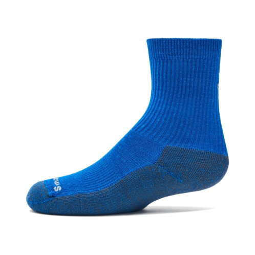 Kids Smartwool Kids Smartwool Kids Hike Light Cushion Crew (Toddler/Little Kid/Big Kid)