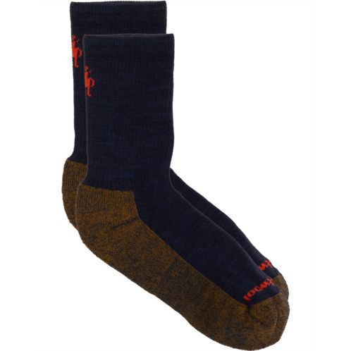 Kids Smartwool Kids Smartwool Kids Hike Light Cushion Crew (Toddler/Little Kid/Big Kid)